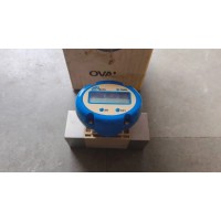 OVAL EGGS DELTA FLM22-10SCW VORTEX FLOWMETER